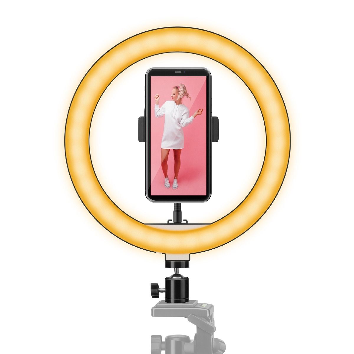 Luces Led Anillo De Luz Carrefour Ring Light CÃ³mo CuÃ¡nto Cuesta